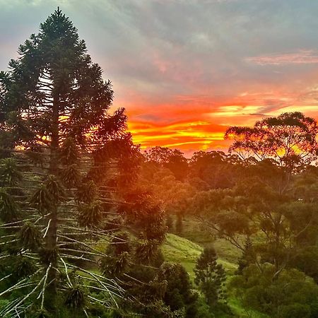 Whispering Valley Cottage Retreat Maleny Buitenkant foto