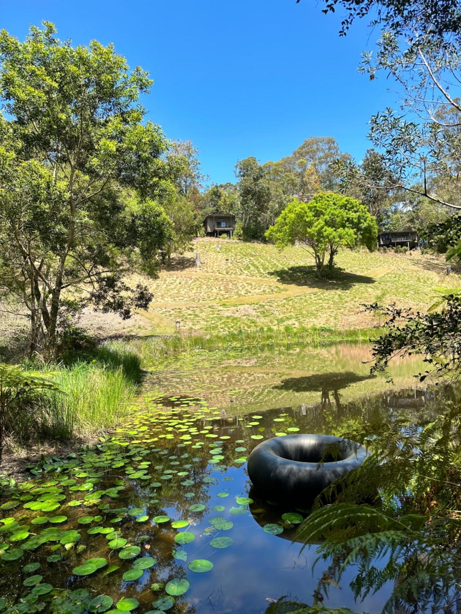 Whispering Valley Cottage Retreat Maleny Buitenkant foto