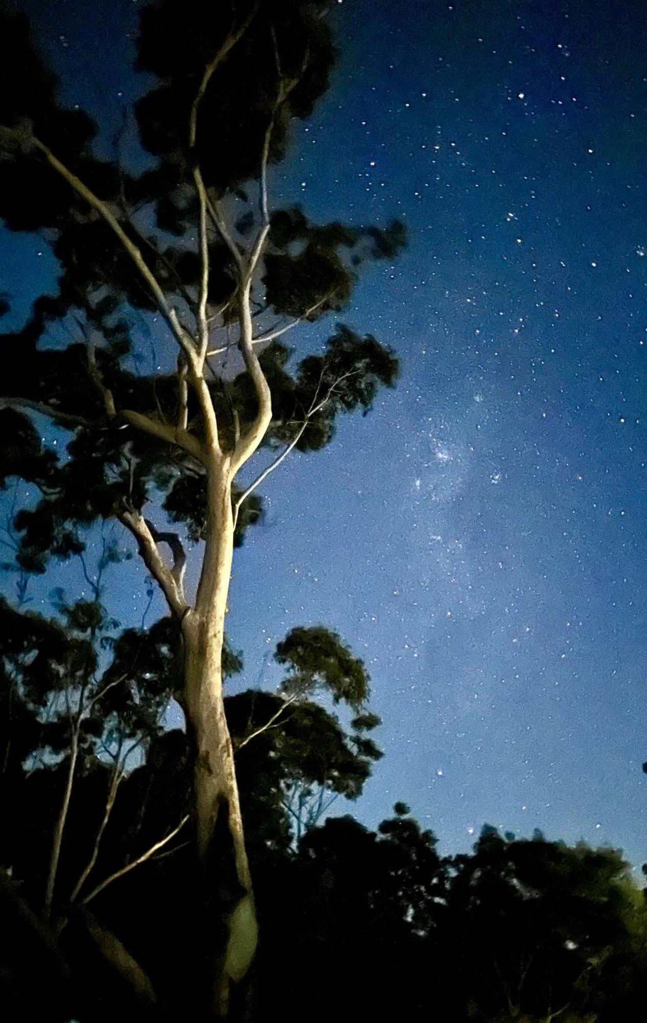 Whispering Valley Cottage Retreat Maleny Buitenkant foto