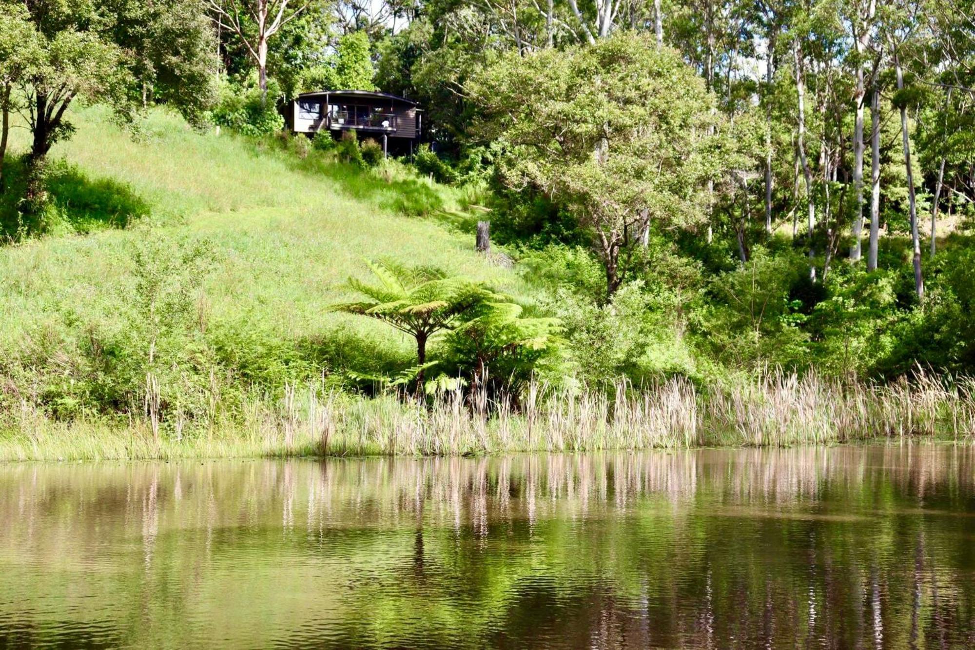 Whispering Valley Cottage Retreat Maleny Buitenkant foto